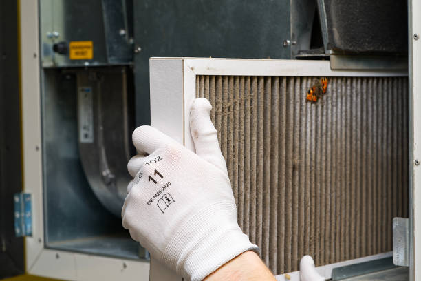 Best Affordable Air Duct Cleaning  in Duson, LA